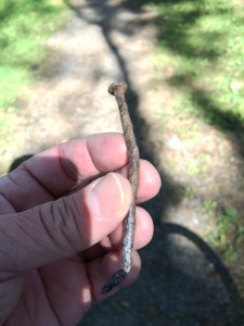 The nail that ended my ride!